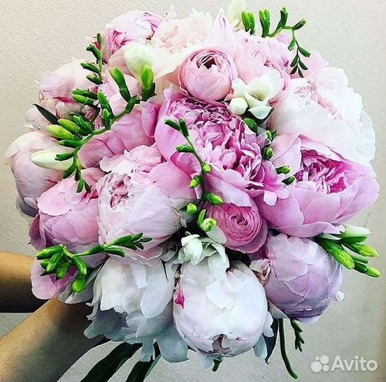 Пионы Розы Доставка