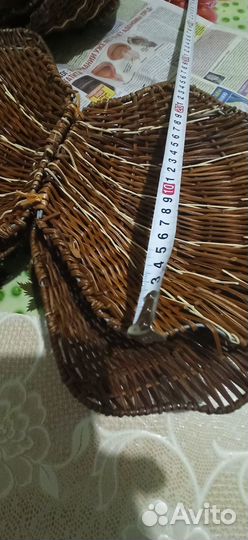 Ракушка плетёная