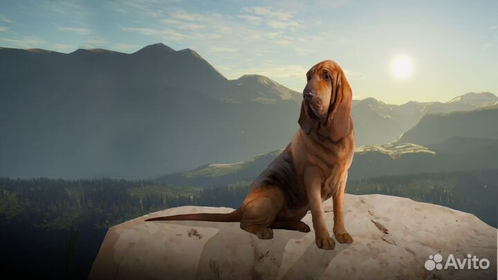 TheHunter: Call of the Wild - Gold Bundle