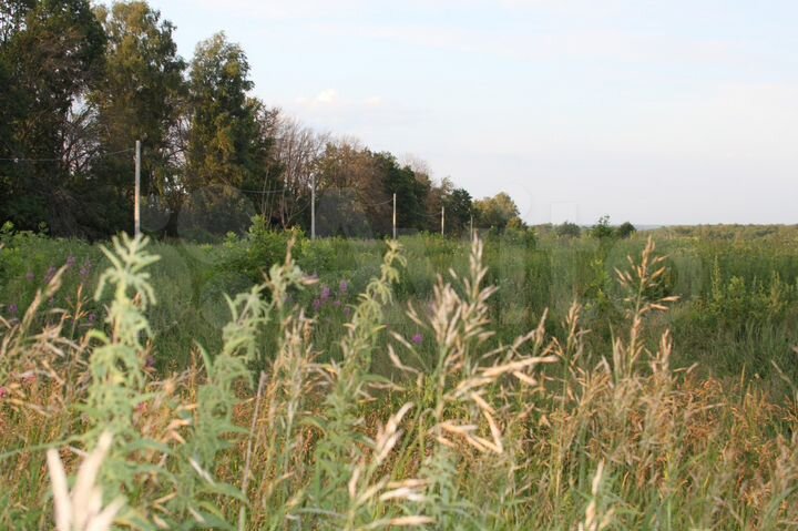 Участок 26 сот. (ИЖС)