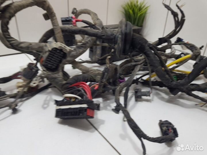 Электропроводка под капотная (Haval F7)