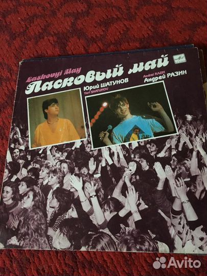 Винил, пластинки