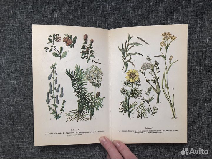 Книги о лекарственных растениях СССР