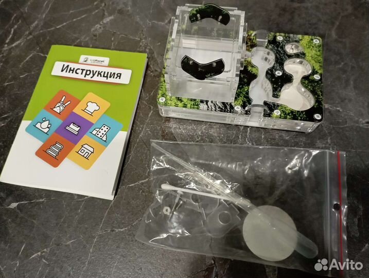 Ферма муравьиная