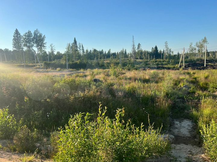 Участок 12 сот. (СНТ, ДНП)