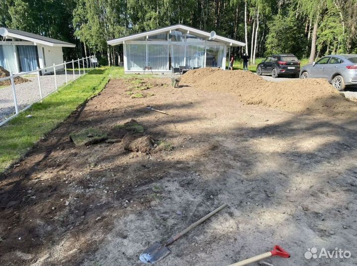 Качественный газон эконом