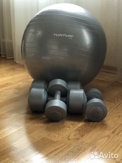 Фитбол 65 см и гантели
