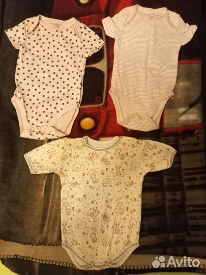 Бодики и комбенизоны