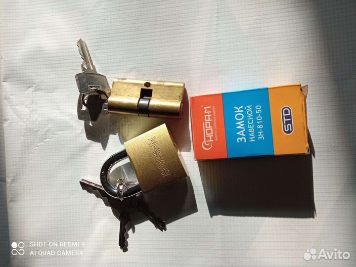 Замок и личинка