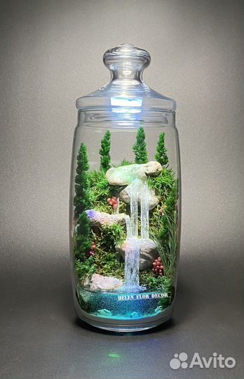 Флорариум - ночник