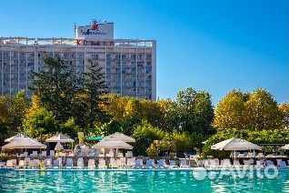 Мастер-садовник в г. Сочи с проживанием