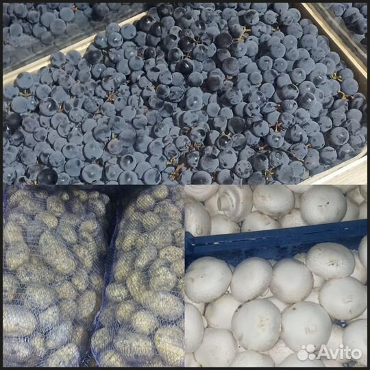 Продам овощи