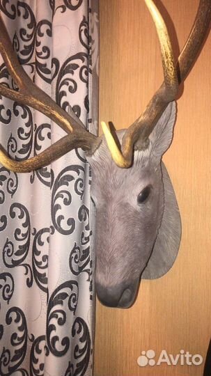 Продам оленя Морала с натуральными рогами)