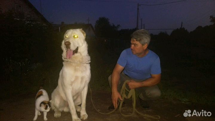 Кабель на вязку