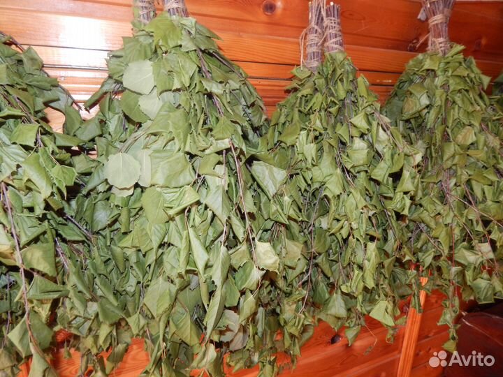 Веники для бани. Березовые дубовые