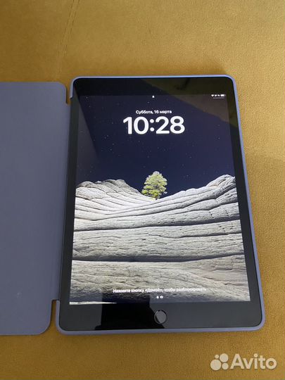 iPad 10.2 2021 256gb