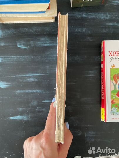 Хрестоматия для внеклассного чтения 1 класс