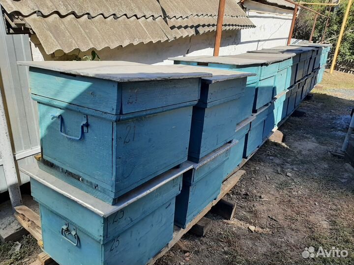 Ульи для ваших пчёлОк, б/у