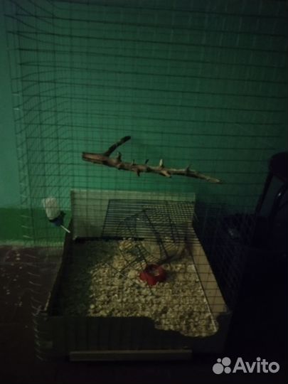 Клетка большая