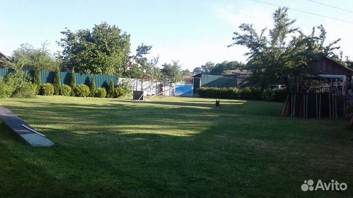 Гостиница для домашних животных