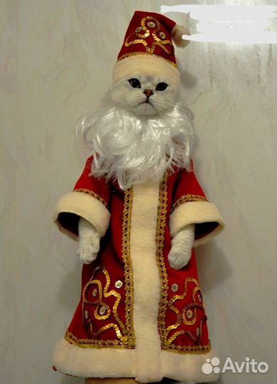 Костюм для кошки Дед Мороз