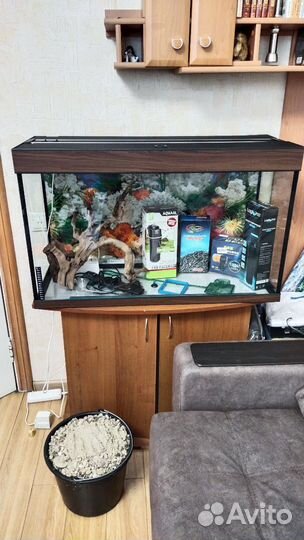 Аквариум с оборудованием