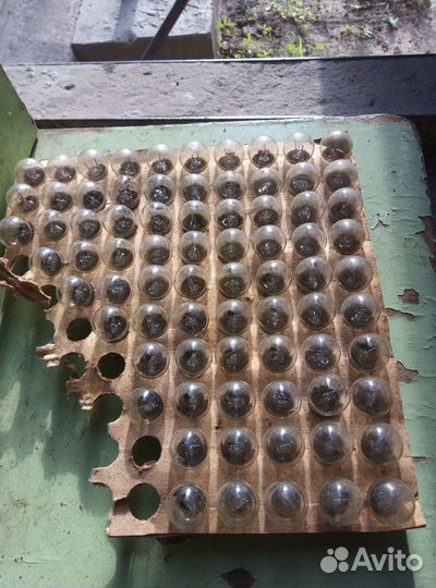 Одноконтактные лампочки 6 вольт