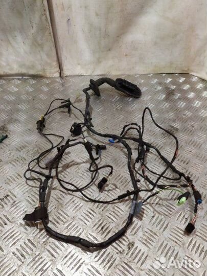 Проводка двери передняя правая Bmw X6 E71 N54B30A