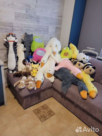 Гусь, коты Батоны, авокадо, пикачу, капибара