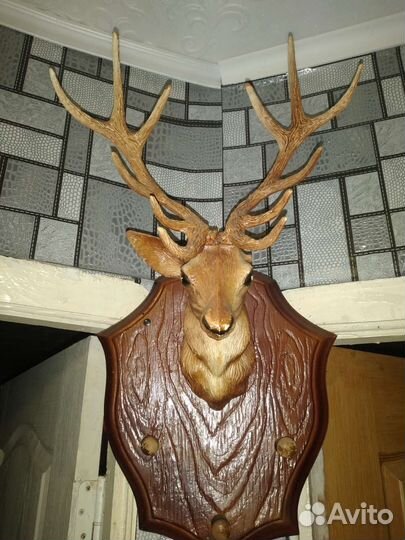 Вешалка Чучело головы оленя