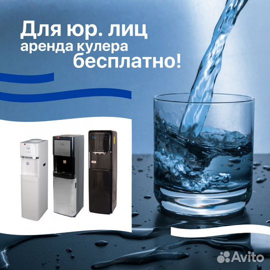 Вода в 19 литровых бутылях для кулера