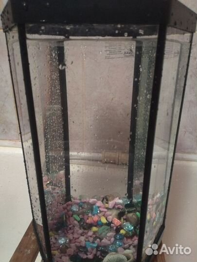 Аквариум