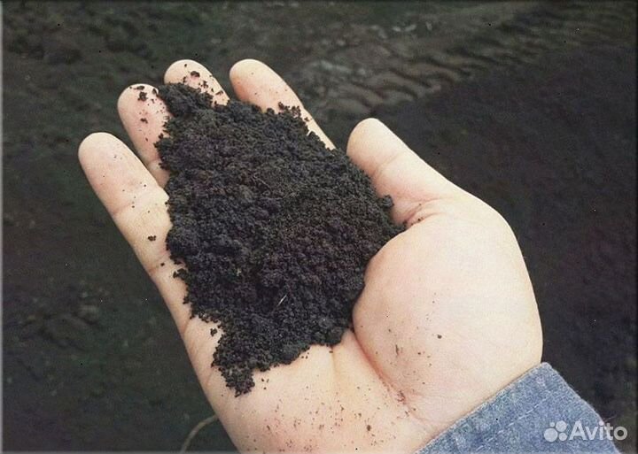 Чернозем с доставкой