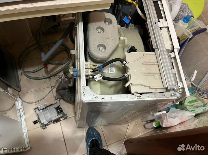 Ремонт стиральных машин и холодильников в Отрадном