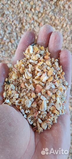 Кукуруза колотая