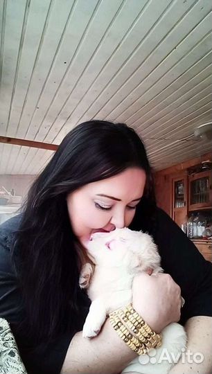 Выгульщик собак