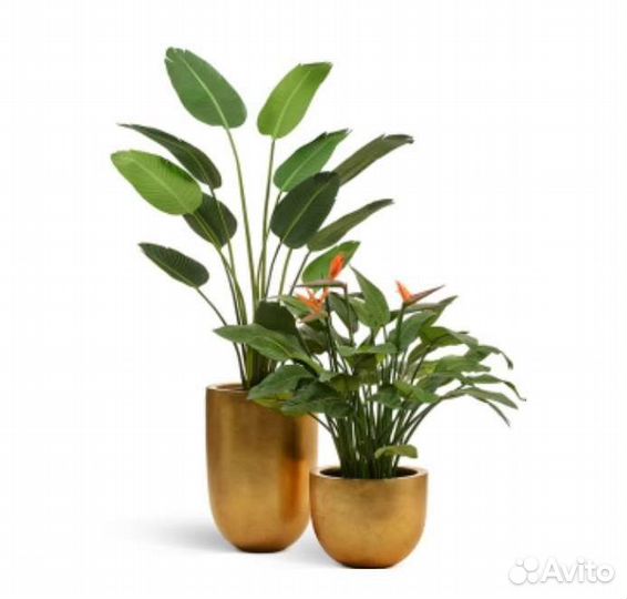 Искусственное дерево стрелиция в кашпо