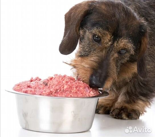 Фарш для собак