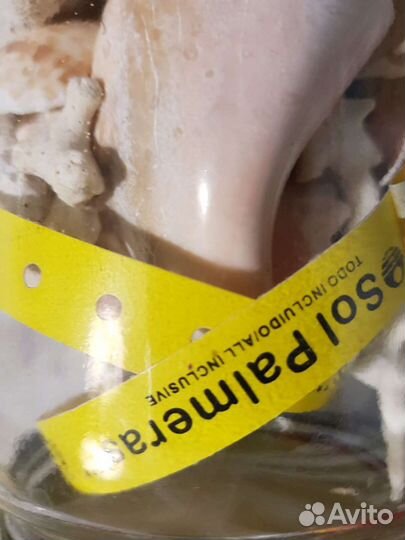 Морские ракушки раковины