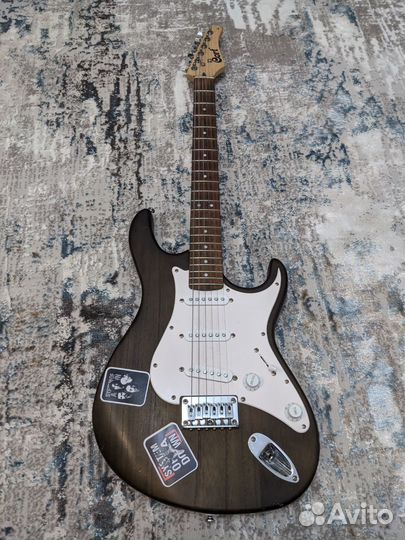 Электрогитара cort g100 комплект