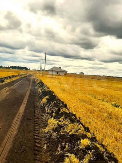 Участок 25 сот. (ИЖС)