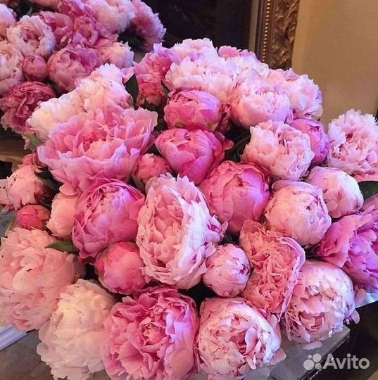 Пионы Букет пионов Доставка цветов