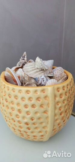 Керамические дизайнерские кашпо