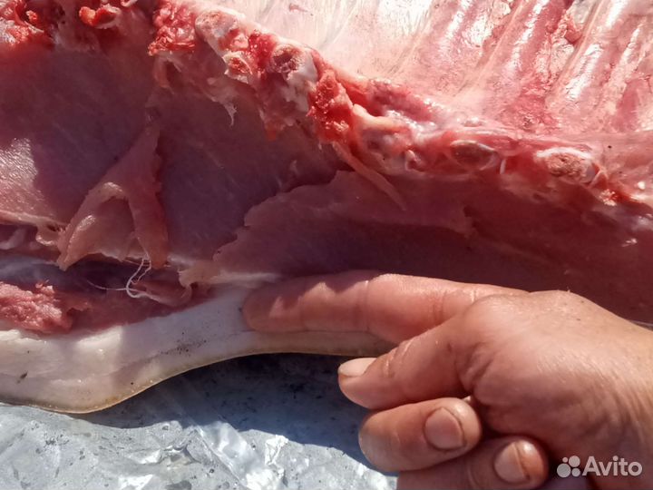 Мясо свинина домашняя