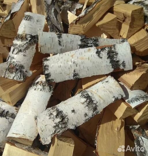 Дрова береза