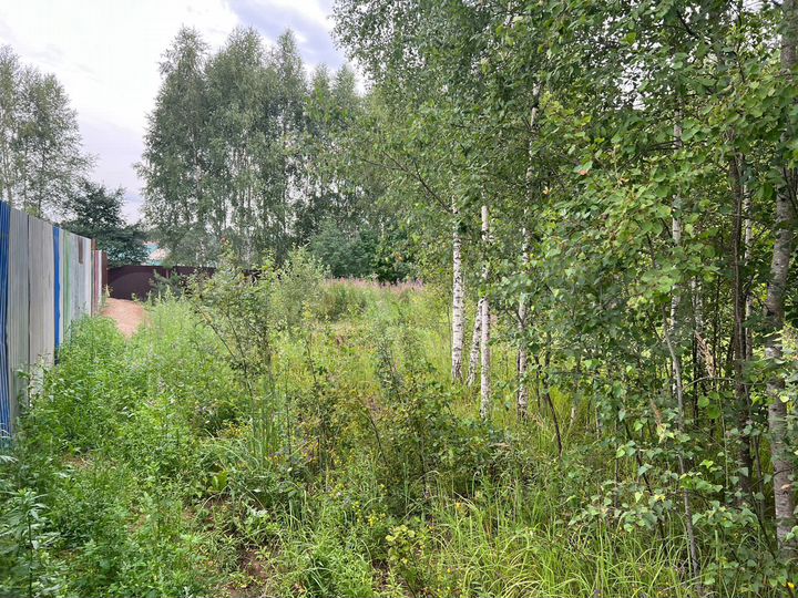 Участок 15 сот. (ИЖС)