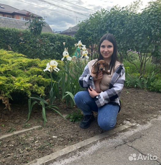 Дрессировка собак кинолог