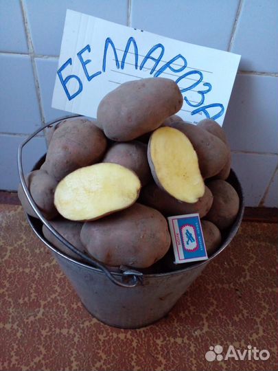 Картофель оптом