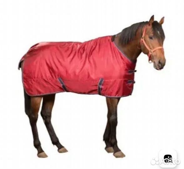 Попона для лошади