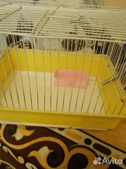 Клетка для грызунов